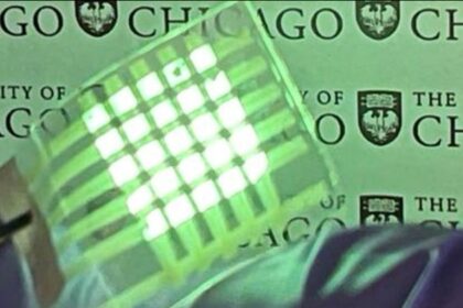 Engineers develop stretchable, bendable OLED display for wearable tech