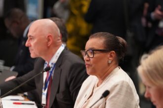 India to chair Commonwealth working group