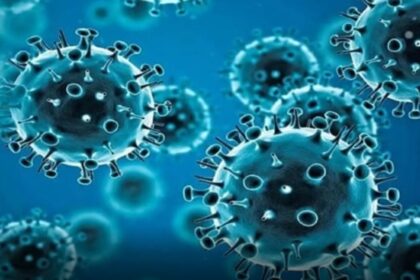 Coronavirus