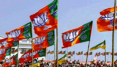 BJP Flag