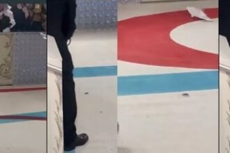 Met Gala carpet hosts a cockroach