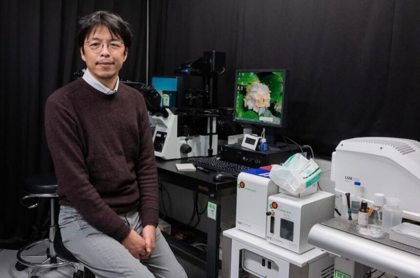 Researchers at Kyushu University