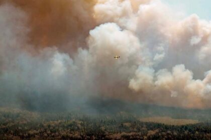 A firefighting plane flies above wildfires in Shellburne County