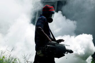A worker sprays insecticide
