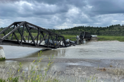 Freight train plunges