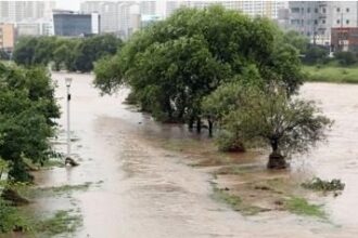 rainfall