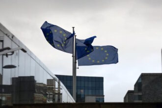 EU flags