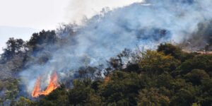 Wildfire is seen in the countryside of Hama