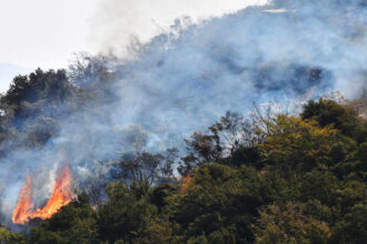 Wildfire is seen in the countryside of Hama