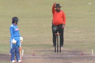 A screengrab of the incident in which India women's team captain Harmanpreet Kaur was given out during the third and final ODI against Bangladesh in Dhaka