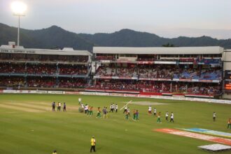 Cricket Match