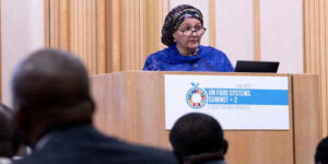 Deputy Secretary-General Amina J. Mohammed