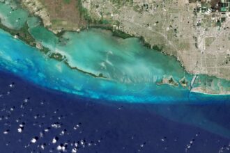 Warming climate changed colour of over 56% world's ocean: Study