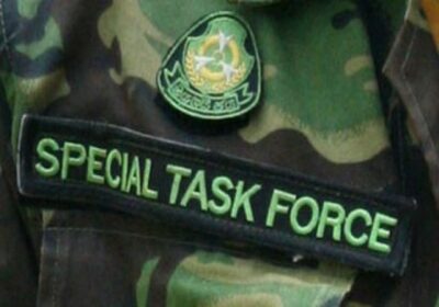 UP STF