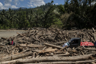 Vehicles run past wood debris