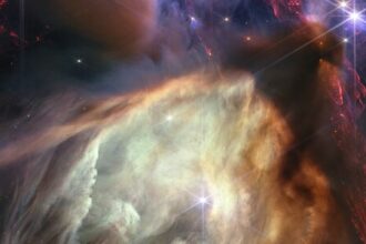 Webb Celebrates 1st Year Of Science With Stunning Images Of Sun-Like Stars