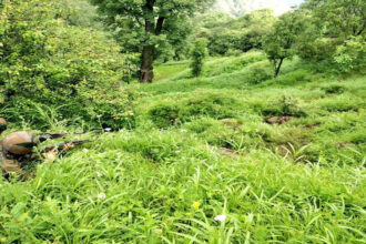 Poonch encounter