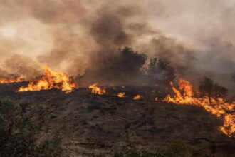 Helicopter pilot killed while battling wildfires in Canada
