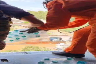 IAF relief operation in flood affected states