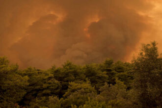 Flames and smokes rise as a result of a wildfire