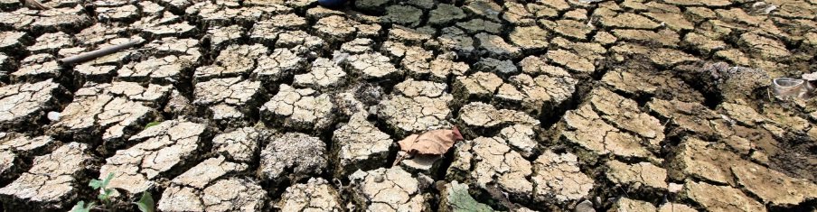 Drought hits 90,000 Sri Lankans
