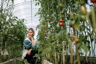 Health impact of organic farming