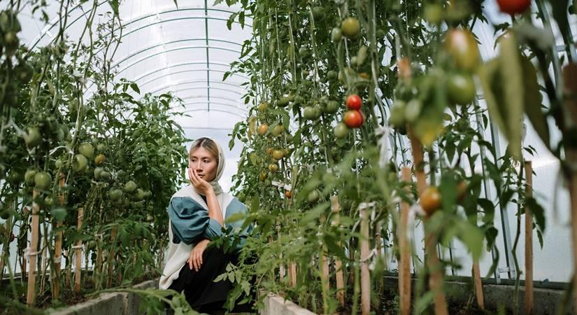 Health impact of organic farming