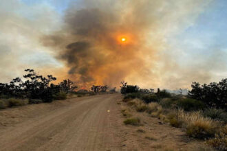 california wildfire