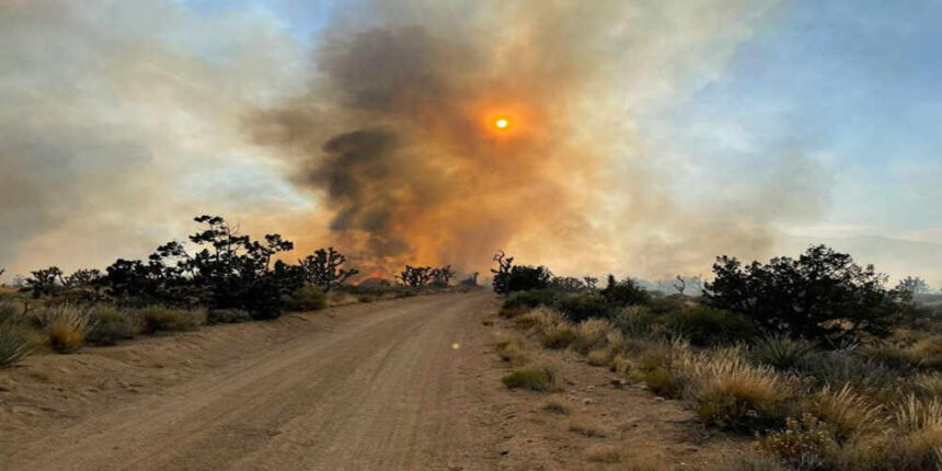 california wildfire