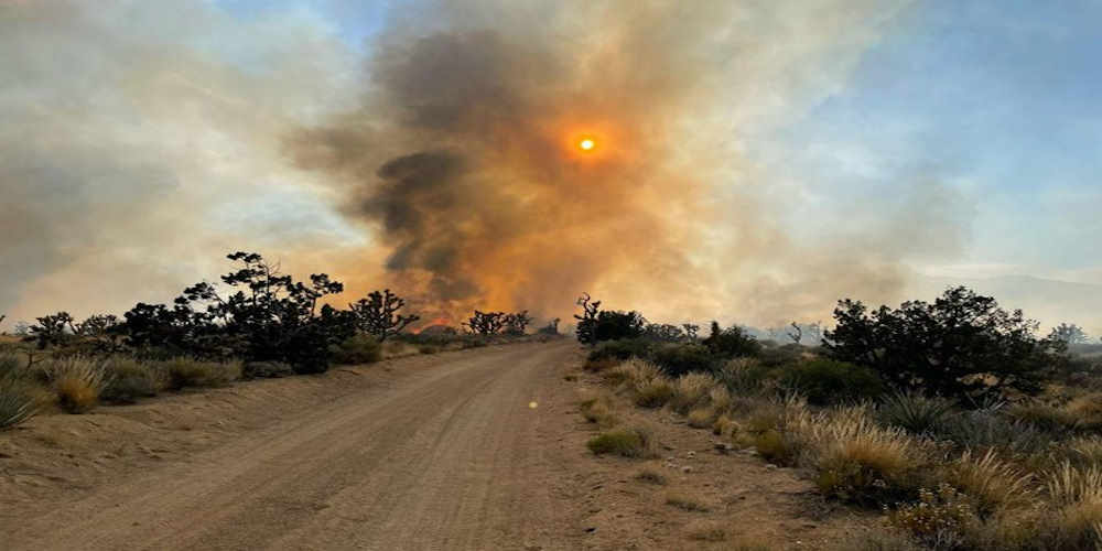 california wildfire