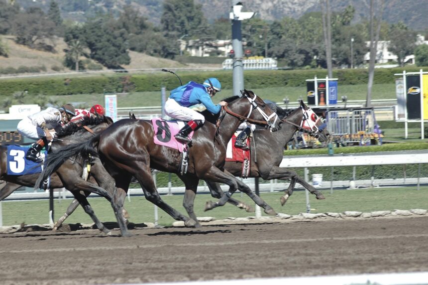 Sports Betting