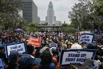 Immigrant Protests